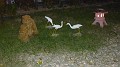 P1000152_resize