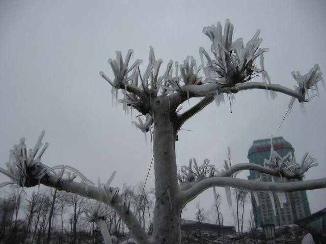 Niagara3.jpg - Bên bờ thác Niagara, Canada