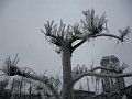 Niagara3