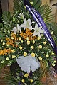 DSC_0432_resize