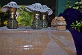 DSC_3921_zps