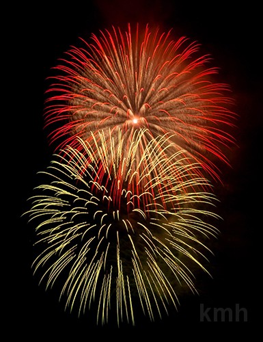 IMG_0684ed1_72.jpg - Một cặp nhím