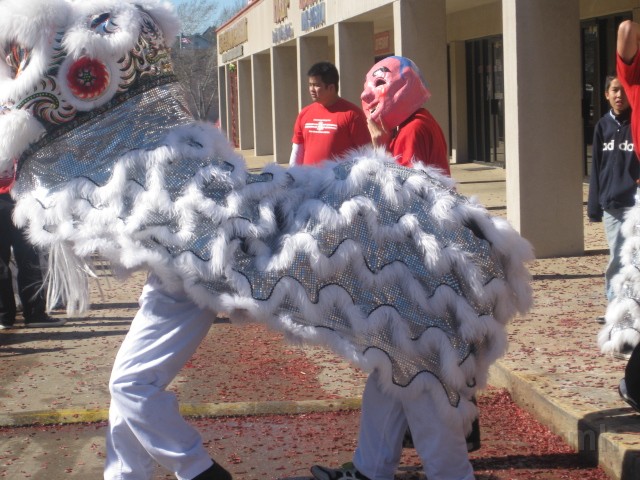 040.JPG