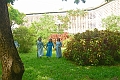 4k20240615_DHH_4142